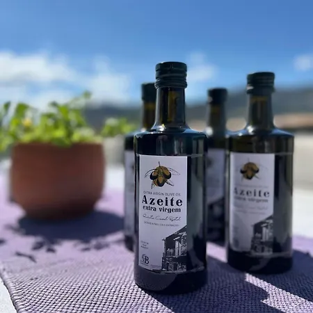Nyaraló Quinta Do Casal Bystol - Casa 2 *